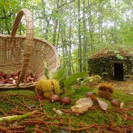 Casa Rural Margarita I Montánchez Dış mekan fotoğraf
