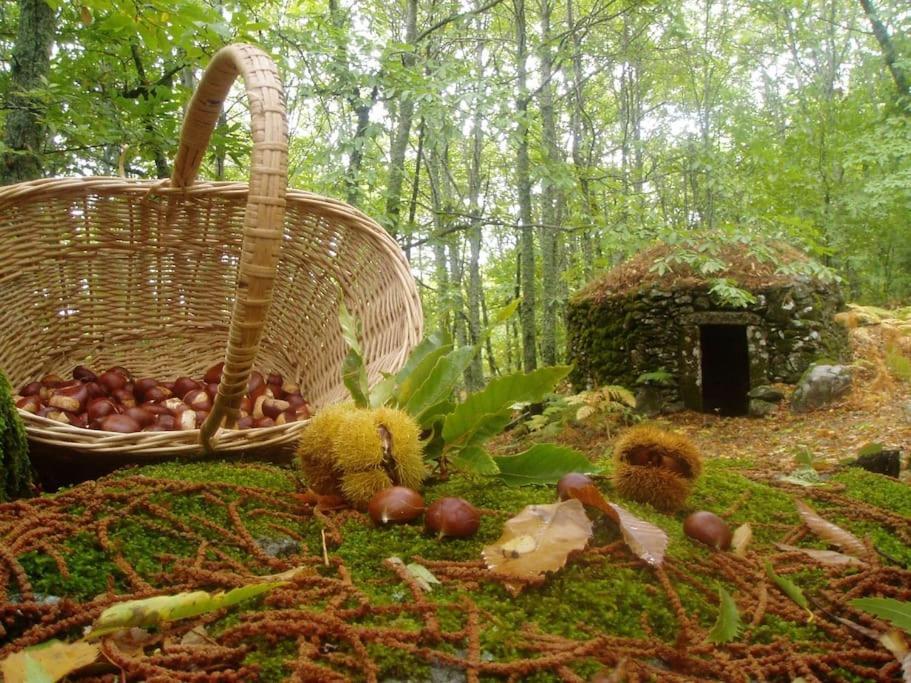 Casa Rural Margarita I Montánchez Dış mekan fotoğraf